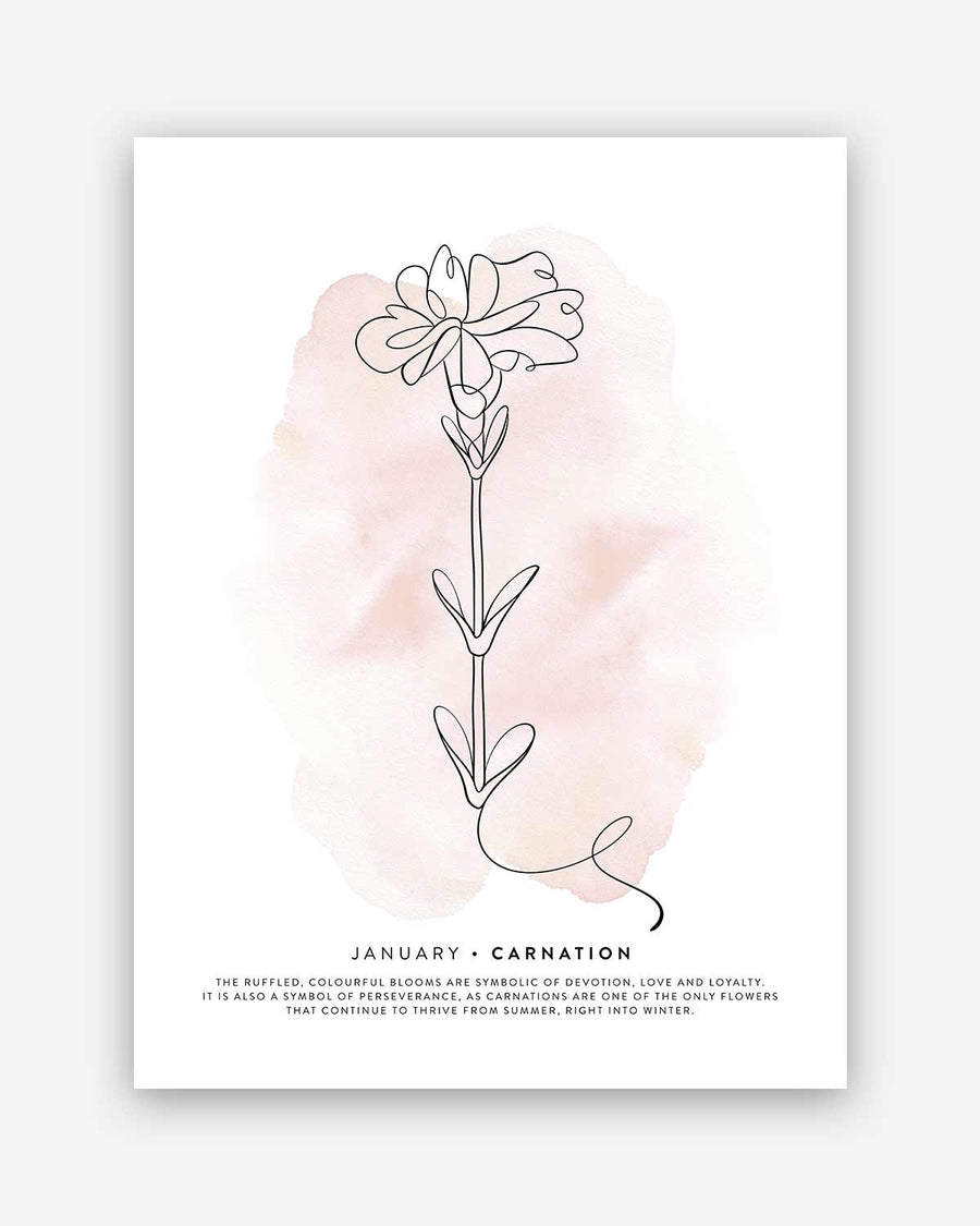 Birth month flower print | January - Carnation